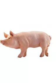 Knur
