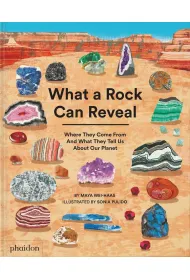 What a Rock Can Reveal. Where They Come From And What They Tell Us About Our Planet