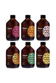Vigo Yoko Kombucha bezglutenowa - mix smak�w Zestaw 6 x 330 ml Bio