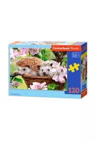 Puzzle 120 el. Wiosenny czas Castorland