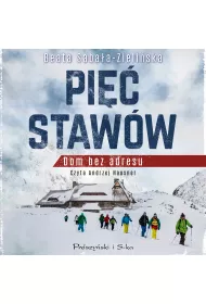 Audiobook Pi Staww mp3
