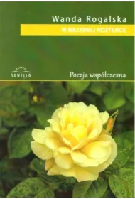 Nienaruszony szkic