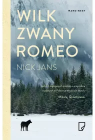 Wilk zwany Romeo