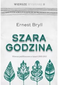 Szara godzina. Wiersze wybrane II