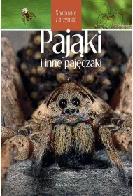 Pajki i inne pajczaki. Spotkania z przyrod