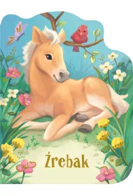�rebak