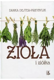 Zioa i zika