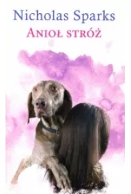 Anio� str�