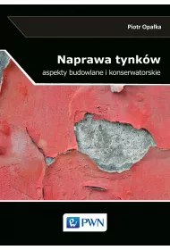 Naprawa tynk�w. Aspekty budowlane i konserwatorskie
