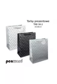 Polsirhurt Torba prezentowa TRB 38-2 32x26x12