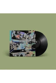 Debunker (vinyl)