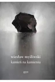 eBook Kamie na kamieniu mobi epub