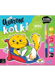 KSIAZECZKA EDUK 240X220 ULUB KOTKI KRED SEGM AKS