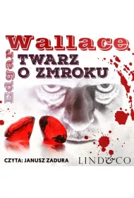 Audiobook Twarz o zmroku mp3