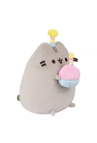 Pusheen z tortem
