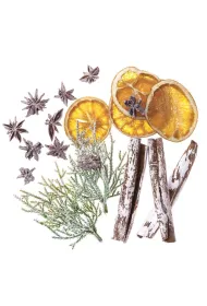 Dalprint Naturalne elementy 19 szt