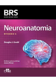 Neuroanatomia BRS