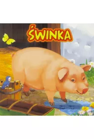�winka. Ksi��eczka kartonowa, sztywniaczek