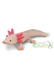 Aksolotl