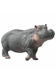 Hipopotam