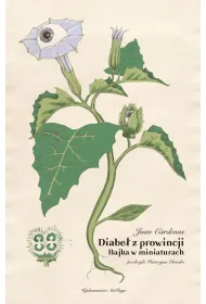 Diabe� z prowincji