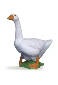 G�