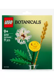 LEGO Botanicals Kwiaty polne 30701