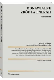 Odnawialne �r�d�a energii. Komentarz