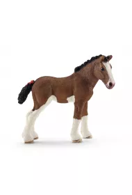 �rebi� rasy Clydesdale