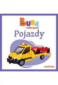 Pojazdy