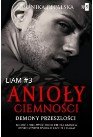 Anioy ciemnoci. Demony przeszoci. Liam. Tom 3