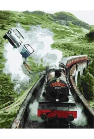 Ideyka Malowanie po numerach - Harry Potter. Lot do...
