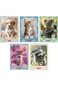 Zeszyt Herlitz Standard Animals A5/32k kratka z marginesem, 1 szt