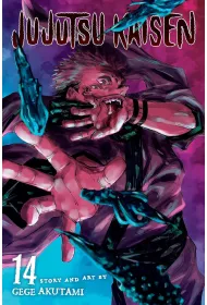 Jujutsu Kaisen. Vol. 14