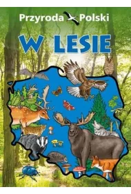Przyroda Polski. W lesie