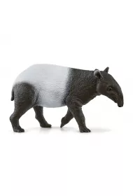 tapir