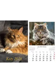 Kalendarz �cienny 2026 Koty