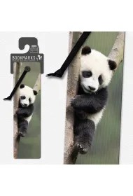 If Zak�adka 3D - Panda