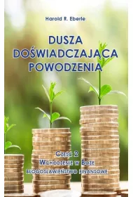 Wchodzenie w Bo�e b�ogos�awie�stwo finansowe. Dusza do�wiadczaj�ca powodzenia. Cz�� 2