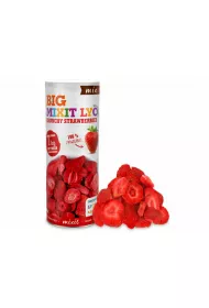 MixIt Dua chrupica liofilizowana Truskawka 100 g