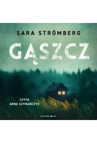 Audiobook Gszcz mp3