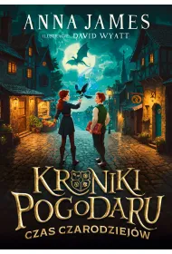 Kroniki Pogodaru. Czas czarodziej�w