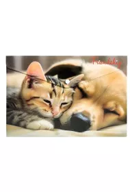 Panta Plast Koperta A4 PP na nap z nadrukiem Friendship