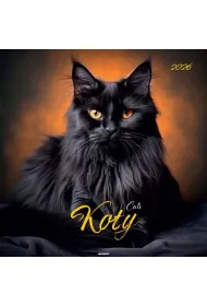 Kalendarze �cienne Kalendarz �cienny du�y 2026 Koty KD-21