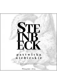 Audiobook Pastwiska Niebieskie mp3