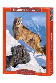 Puzzle 1000 el. Austere Ascent Castorland