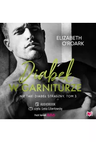 Audiobook Diabe w garniturze. Nie taki diabe straszny. Tom 3 mp3