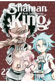 Shaman King #22