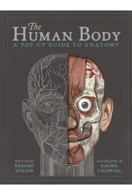 The Human Body. A Pop-Up Guide to Anatomy wer. angielska