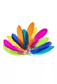 Brewis Pi�rka g�sie nenowy 15-20cm